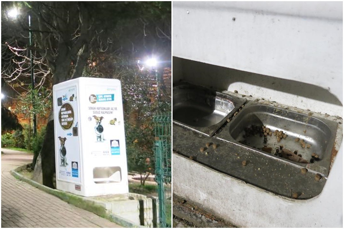 設立在小公園一角的寶特瓶回收機，飼料置放盤滿是污垢。　取自流浪者的流浪狗之歌專頁