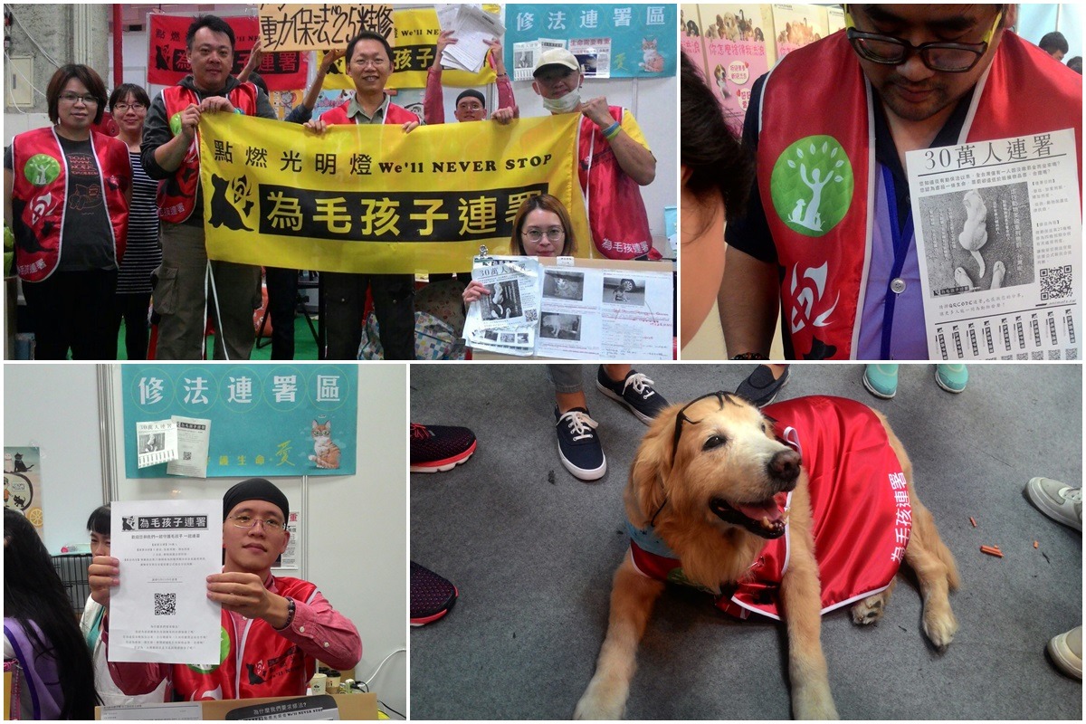 「為毛孩子連署 點燃光明燈」志工團隊在上個週末的台北寵物用品博覽會擺攤邀請民眾響應連署。　黎安娜/提供