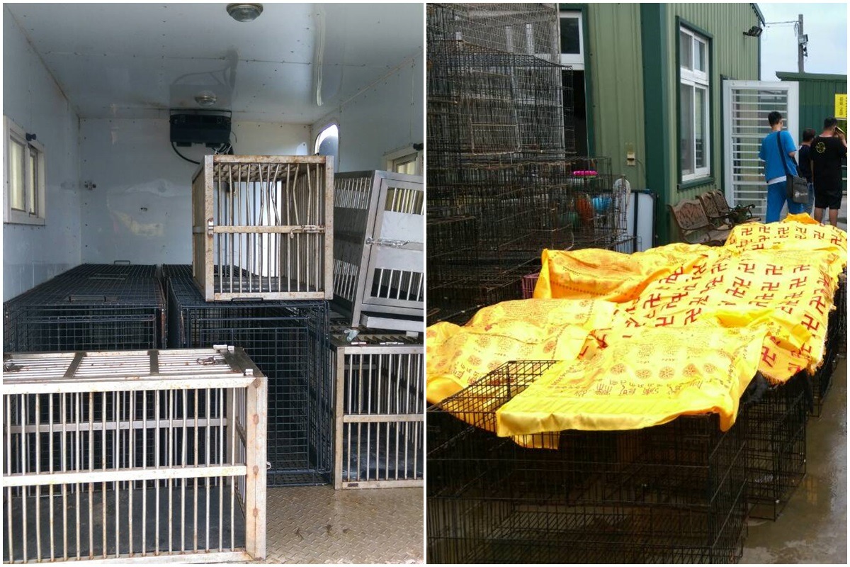 從照片中可見鐵籠非常小，難以想像如何能容納69隻狗，此外，將1隻貓單獨與69隻狗關在密閉空間中，也是不容忽視的失誤。　台南市動保處/提供