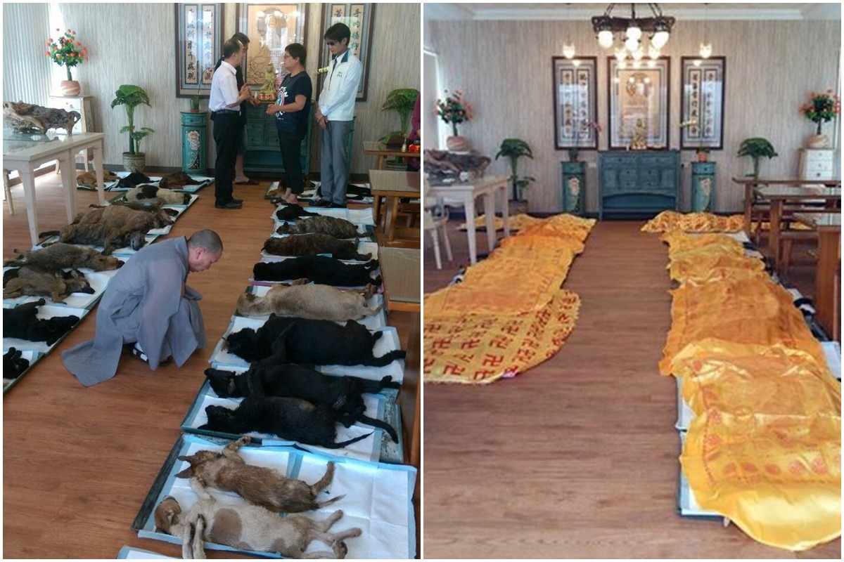 護生園為死亡的犬隻舉辦法會。 (左)台南市動保處/提供、(右)取自徐園長臉書