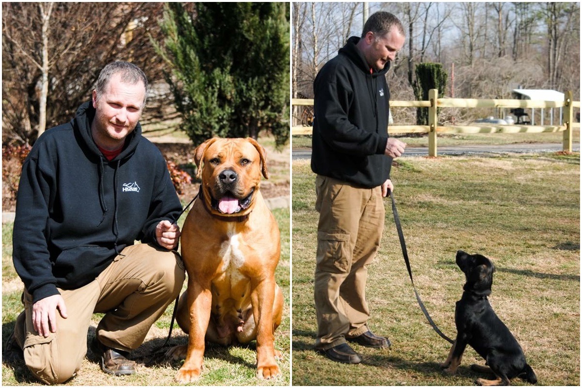 來自英國的訓犬師Steve Rigden目前定居台灣,並以協助都市寵物找回樂趣、協助改善流浪動物問題為理想在台灣開設愛犬訓練中心。 Steve/提供