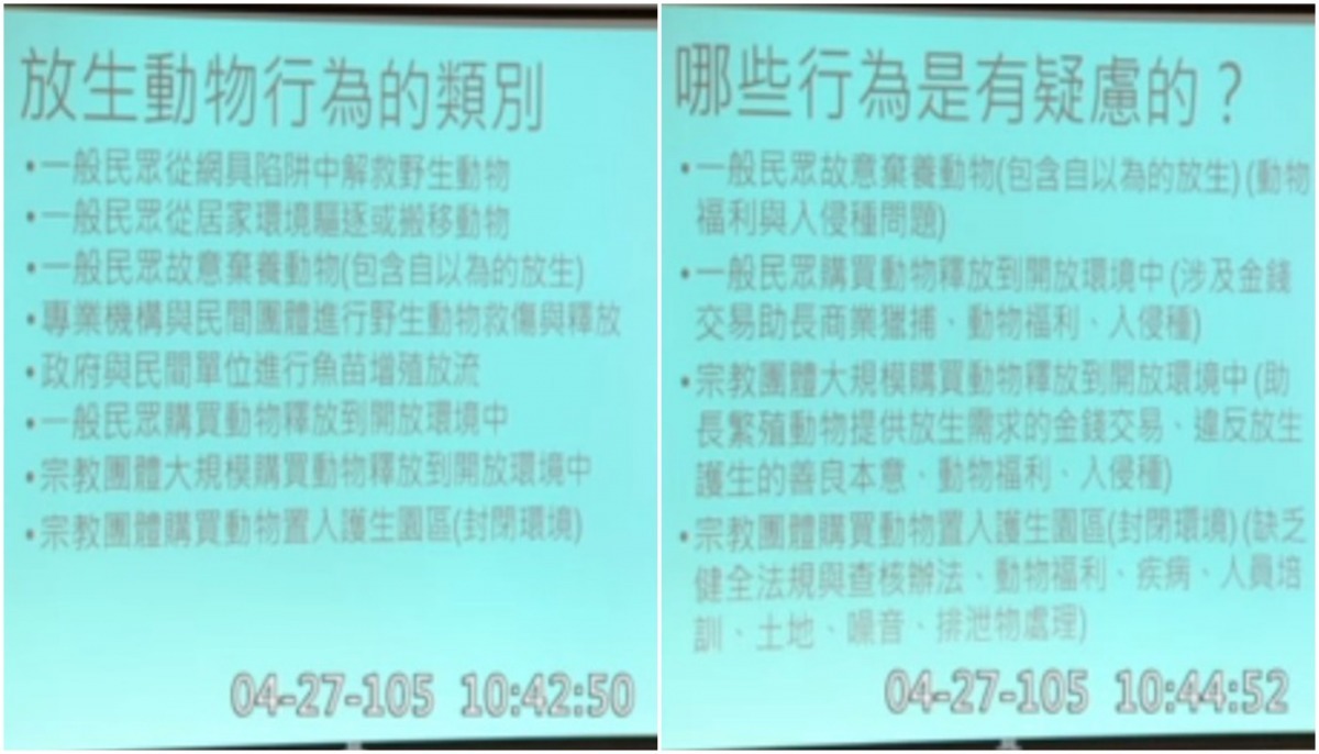 中山大學生物科學系副教授顏聖紘表示，放生行為的類別要先釐清，才能判斷適用的法條。　立法院議事轉播網際網路多媒體隨選視訊(ivod)系統影片截圖