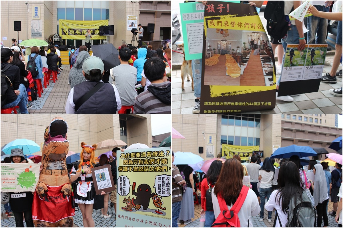 台北市政府前的請願活動上下起不小的雨,仍有數百位民眾到場支持。 李娉婷/攝