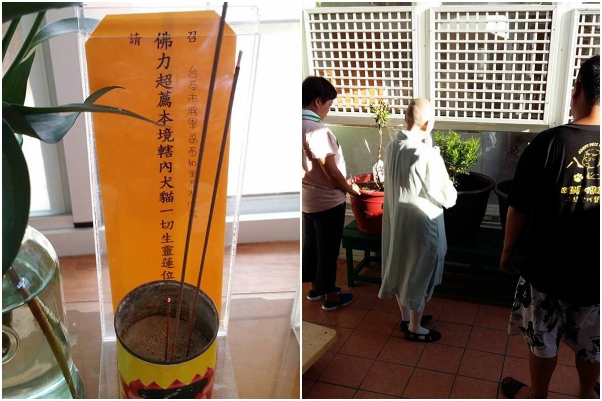 民雄收容所超量載運事件死亡的47隻狗兒以樹葬方式留在護生園園區。　徐文良/提供