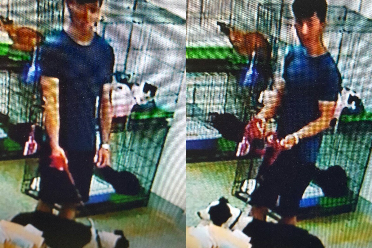 惡意棄養男子特徵：短髮且鬢角長有鬍渣、單眼皮，打扮時髦。　基隆市動物保護防疫所/提供