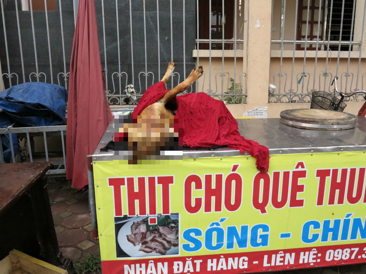 在越南的市井街集，隨時可以看到賣狗肉的攤商。  蕭士塔/攝  