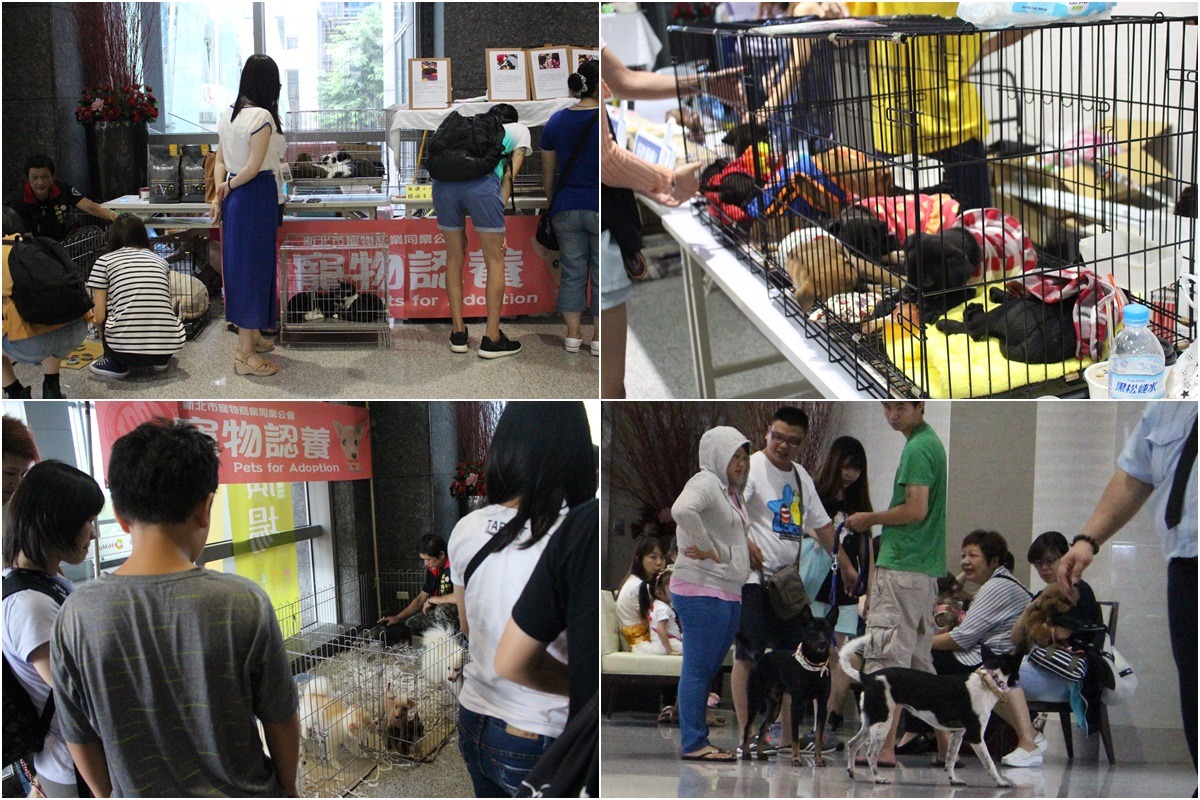 麗寶百貨2樓外有一塊不小的「公益廣場」，有屋頂遮蔽、有冷氣吹送，將來每個月會有2個周日有浪浪進駐送養。　李娉婷/攝