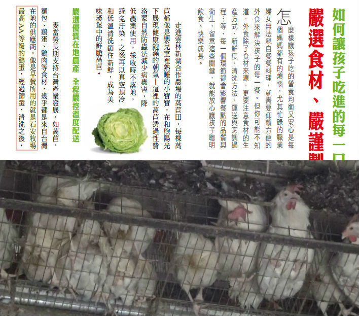 下圖為麥當勞雞蛋來源牧場之一,對照麥當勞「I’m lovin’ it」的口號,格外諷刺。 台灣麥當勞官方網站截圖、台灣動物社會研究會/提供