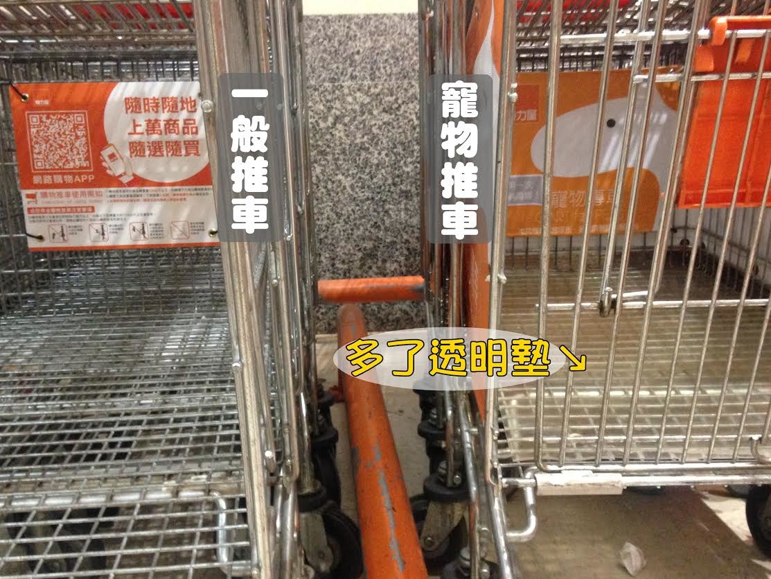 HOLA與特力屋特別設置寵物推車，還貼心增加了透明墊，讓毛小孩坐得舒服；寵物推車被送還時會馬上消毒，確保下一個毛孩能安全使用。　何宜/攝