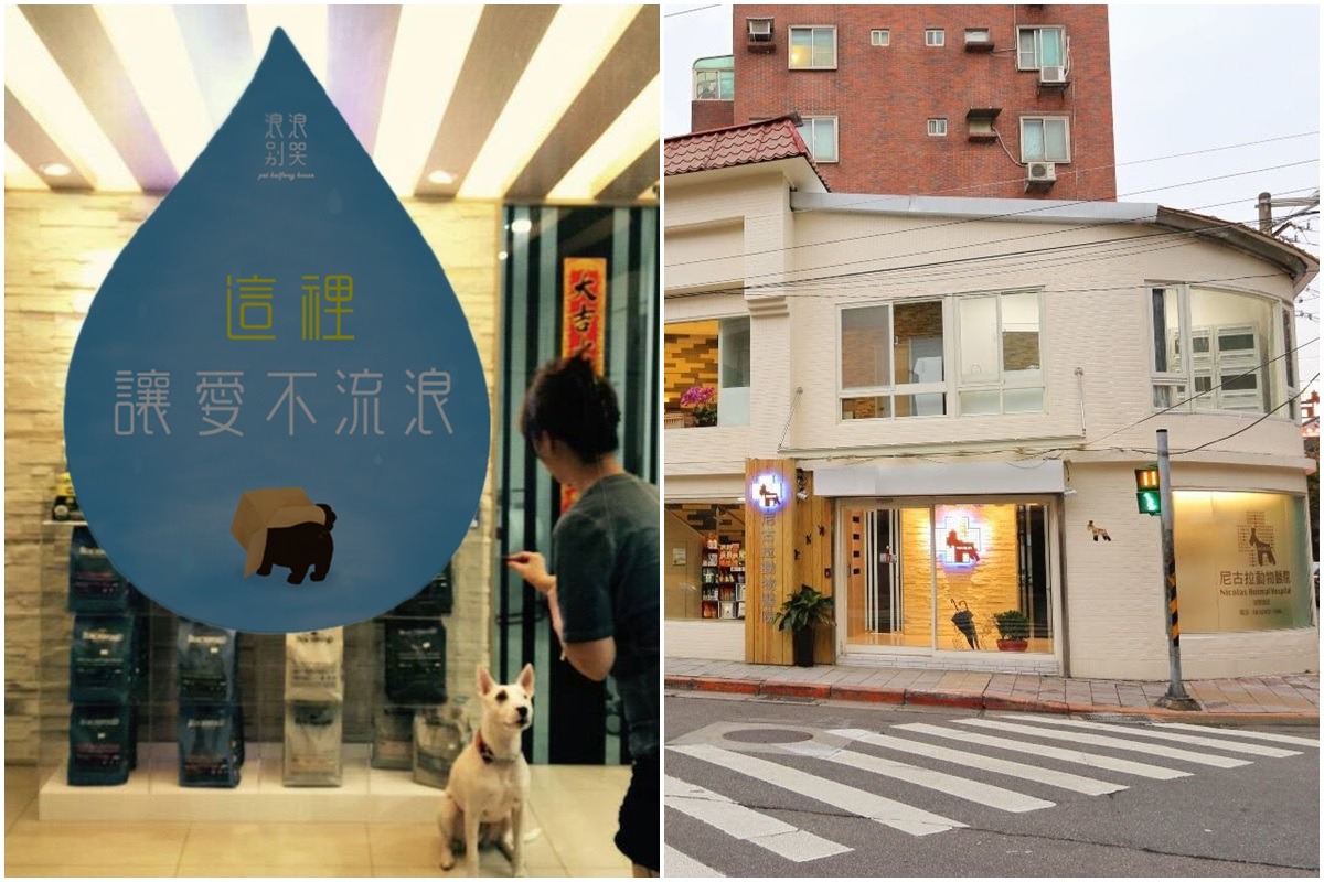 響應「這裡讓愛不流浪」的尼古拉動物醫院，願意提供2隻浪浪中途空間。　取自「浪浪別哭」專頁