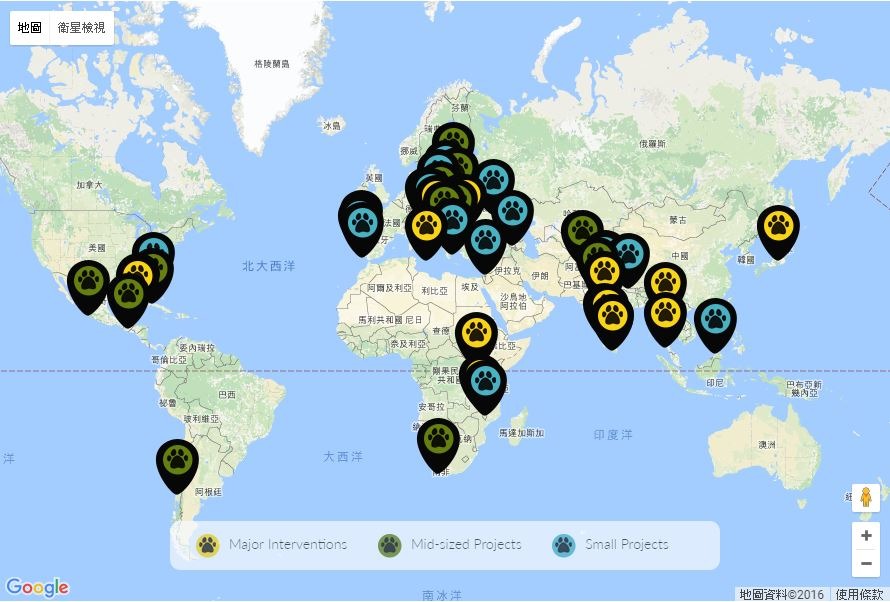 Dogs Trust的專案計畫遍及世界各地。 截取自Dogs Trust