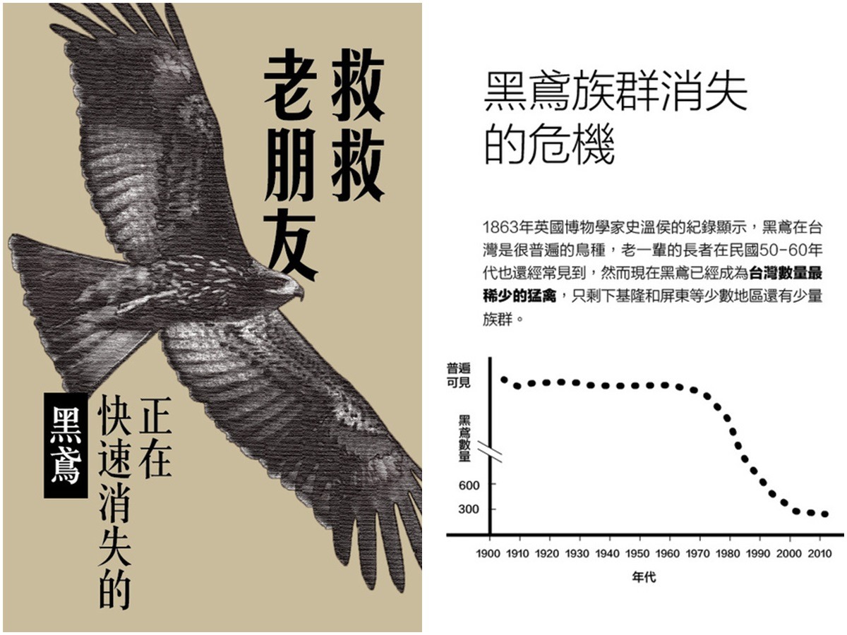 黑鳶曾是台灣普遍常見的物種，30年前數量開始急遽減少，與慣行農法（採用化學農藥、肥料以及高密度的耕作法）興起的時間點吻合。　李娉婷/翻攝