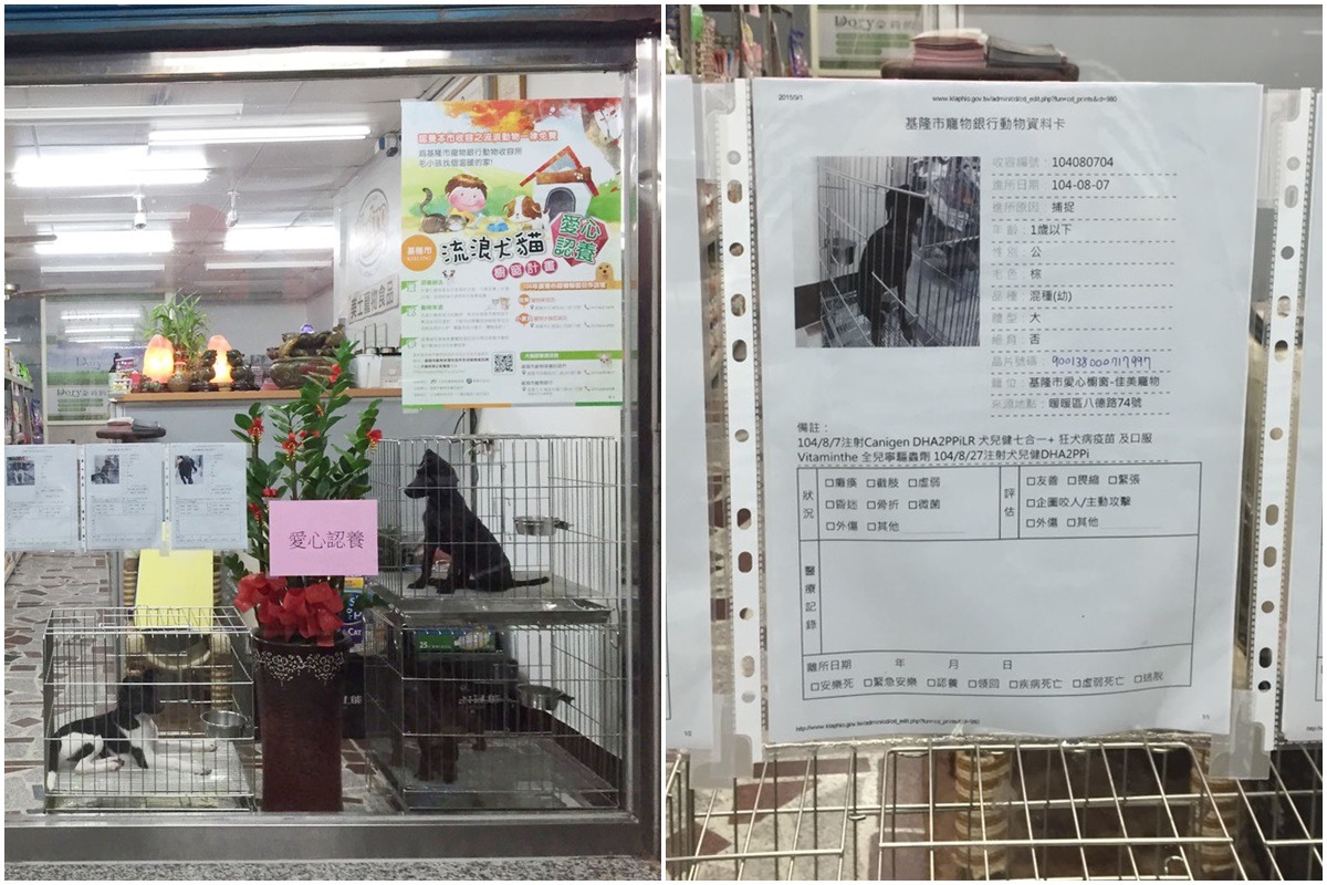 基隆市沒有連鎖寵物用品店，但仍有小型業者發揮愛心提供櫥窗送養。　資料照(基隆市動物保護防疫所/提供)