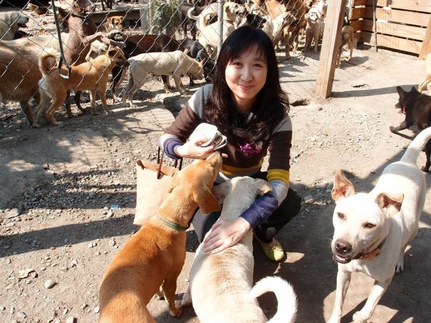 黃宗慧與寄養在私人收容所的狗，她每隔一段時間會去探望牠們。　黃宗慧/提供