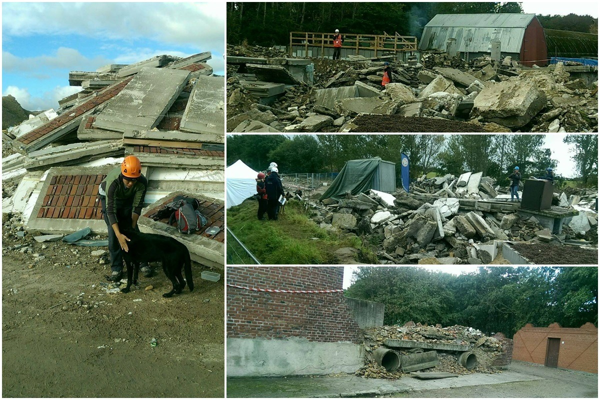 丹麥的瓦礫堆搜索項目場地有多種類型且占地廣大，圖左為風與控犬員吳惟逸於賽前練習照。　台北市陪伴犬協會/提供