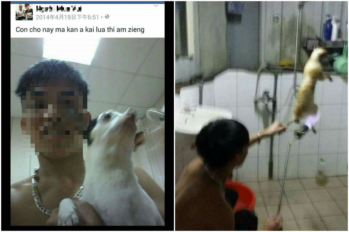 李榮峰指出，這名北越移工對台灣的語言、法律與風俗民情完全不了解，因此在臉書張貼殺貓狗照片應非惡意挑釁。　李榮峰/提供