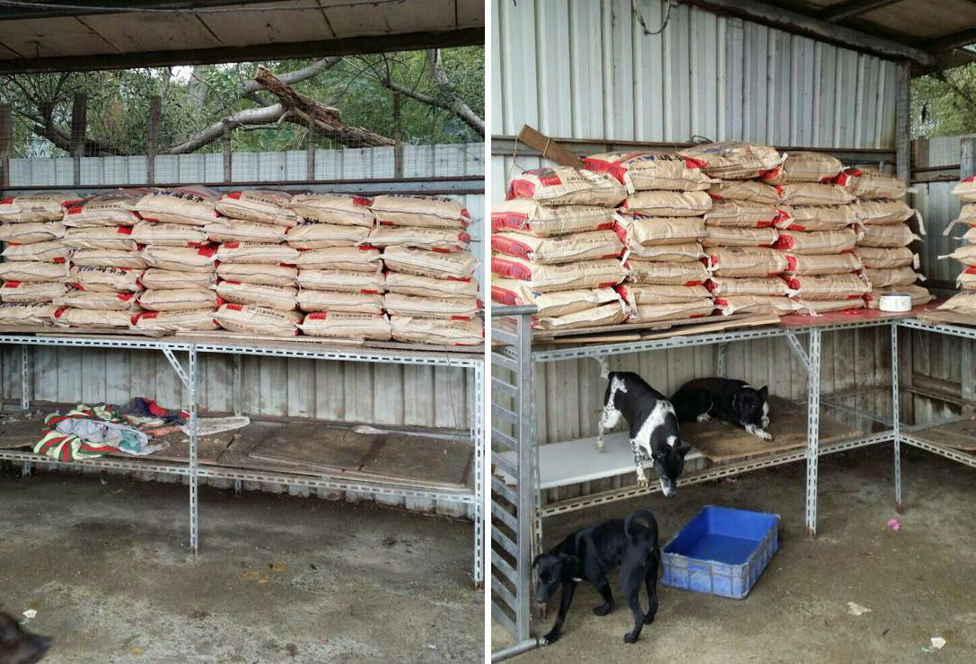 俠女幫每月的認購飼料會註明捐贈狗場,捐贈數量視當月狀況而定,能募集到30到60包不等的飼料(18公斤裝)。