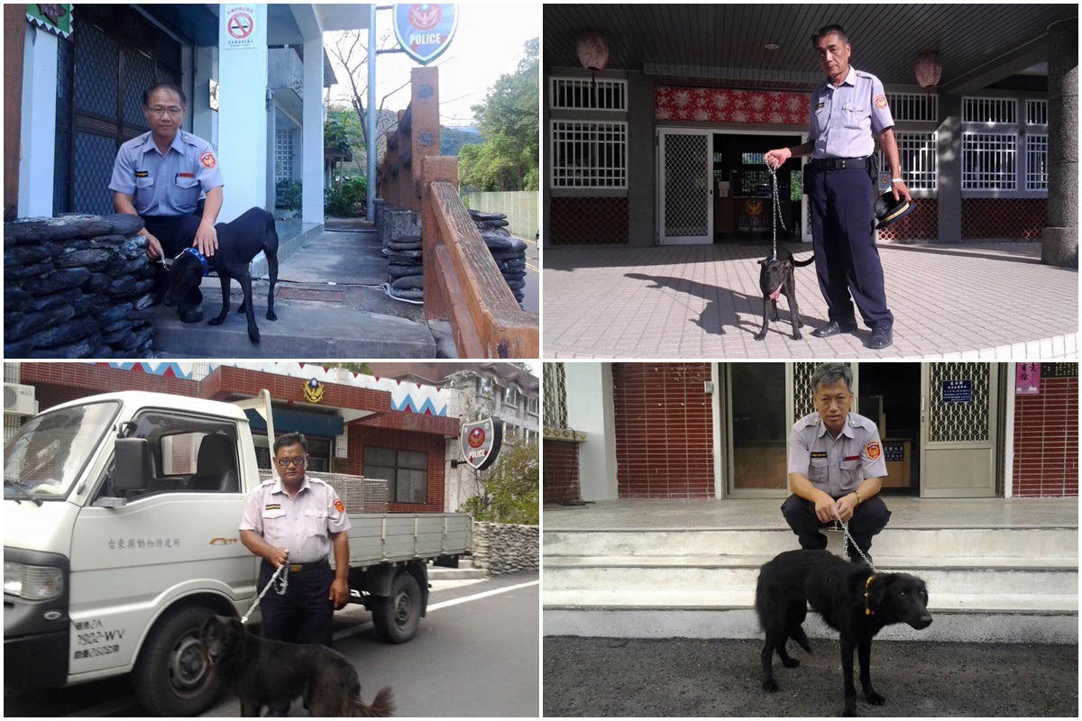 5隻狗兒分別被送到紅葉、瑞源、龍泉、霧鹿、鸞山派出所。 取自臺東縣動物防疫所臉書