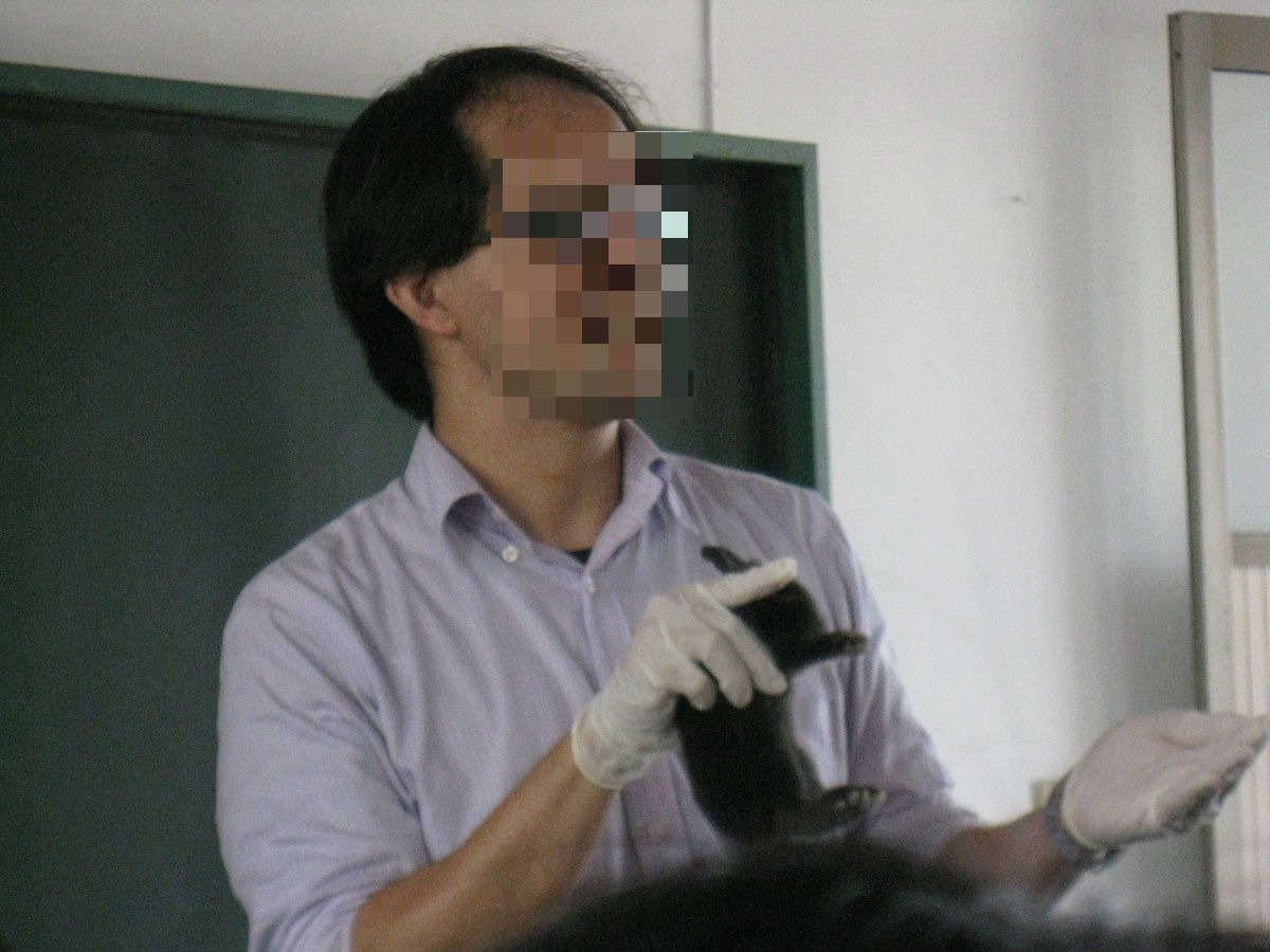 被檢舉的教師手抓幼兔向學生說明。 愛兔協會/提供