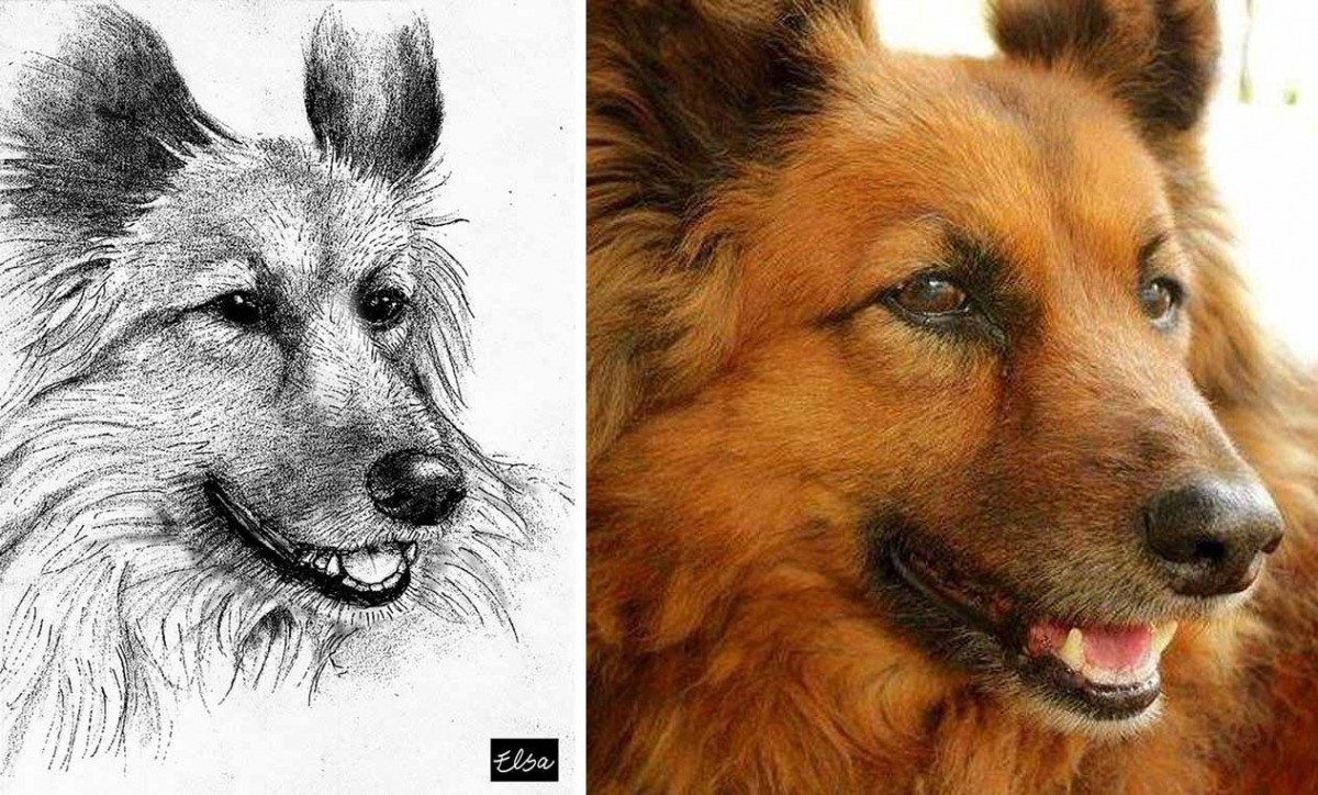 第18號狗兒是已經畢業（過世）的雄中校犬「長黃」，也是游思瑩印象深刻的故事，牠的主人是「所有的雄中人」。　游思瑩/提供