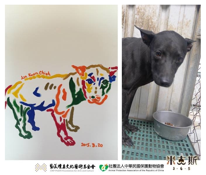 在畫黑色米克斯時，林昆頡總會想著該如何才能讓黑黑的牠們更容易被看見。　取自APA中華民國保護動物協會臉書