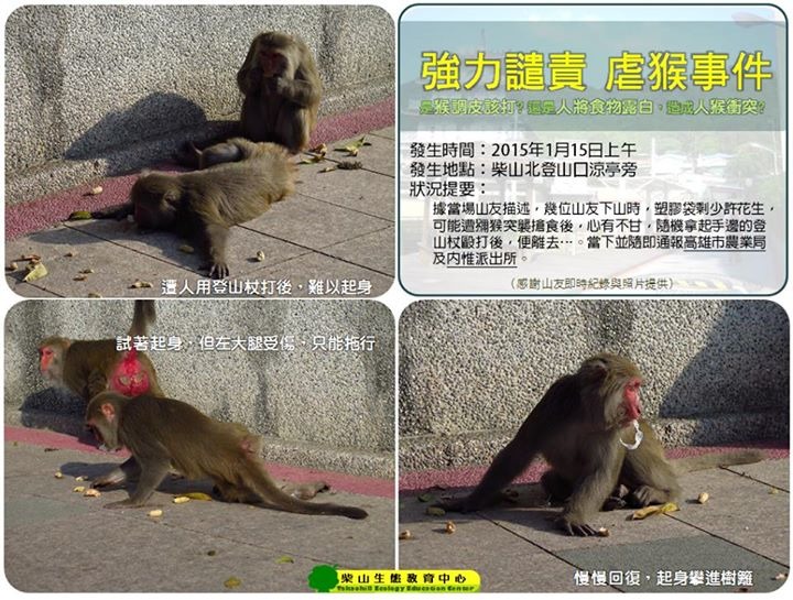 「姊姊」與「奇異果」的母親今年1月遭登山客攻擊後失蹤。 取自柴山生態教育中心臉書