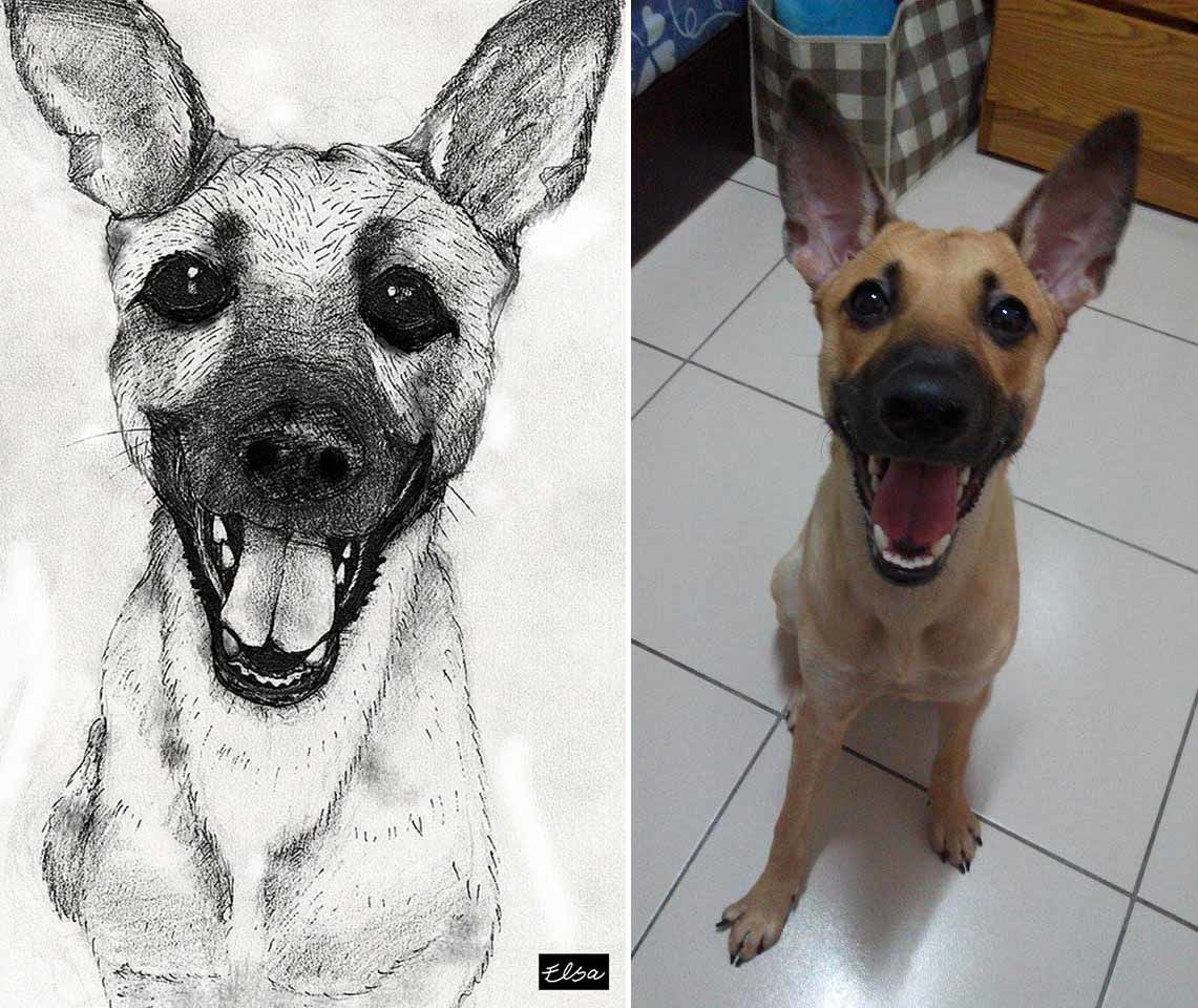 游思瑩相當喜歡12號狗狗「Sushi」的笑容。　游思瑩/提供