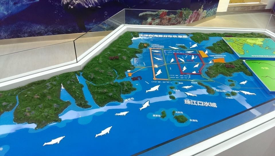 港珠澳大橋穿過中華白海豚的棲地。 取自海豚三十 30 Third Runway Victims專頁