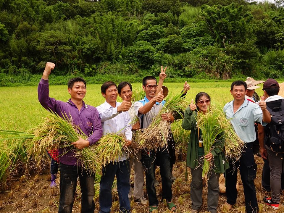 楓樹里居民及屏科大研究員陳美汀集資經營「石虎田」。 取自楓樹窩石虎米臉書
