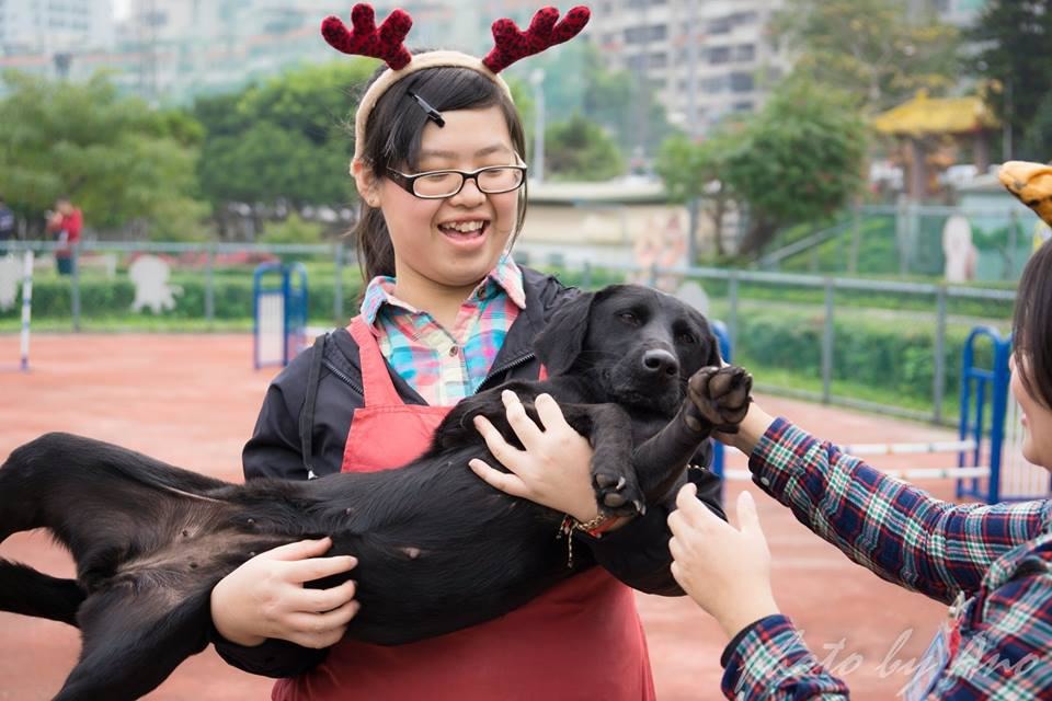 在板橋動物之家待了一年半的點點親人也親狗,和三腳是好姊妹。 取自新北動保代言犬網站