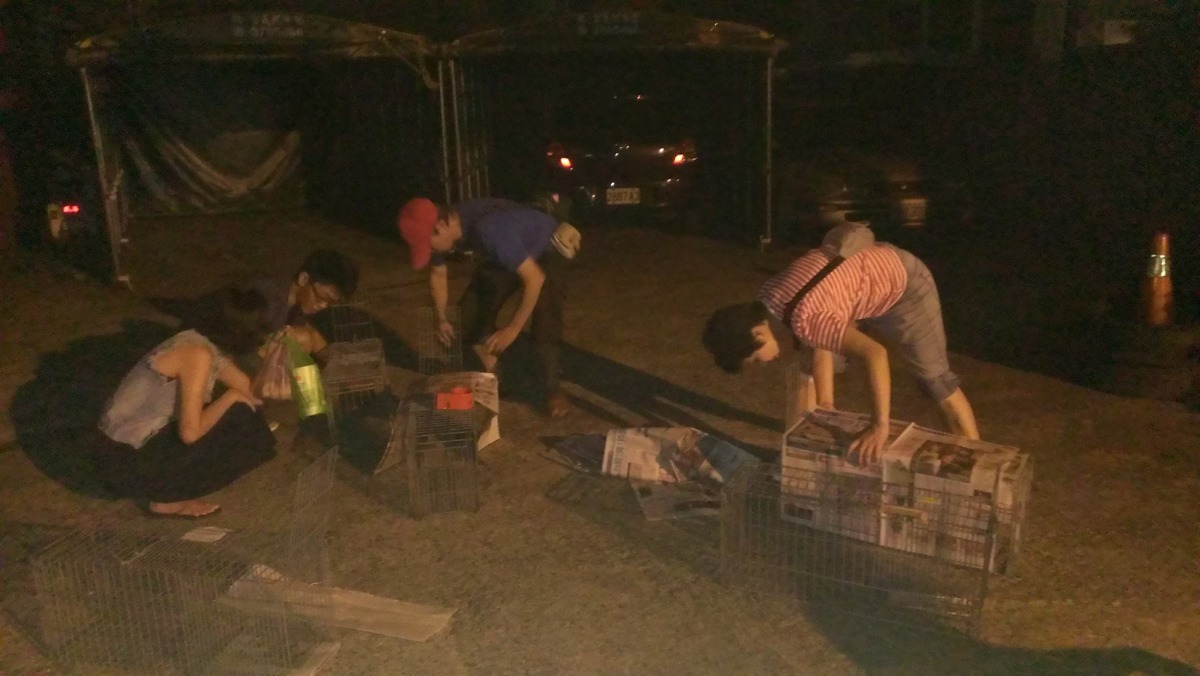 中聖里志工夜晚出動誘捕貓咪，從10年前的外借，到如今中聖里已經有自己的誘貓籠。　取自崔美瑛臉書