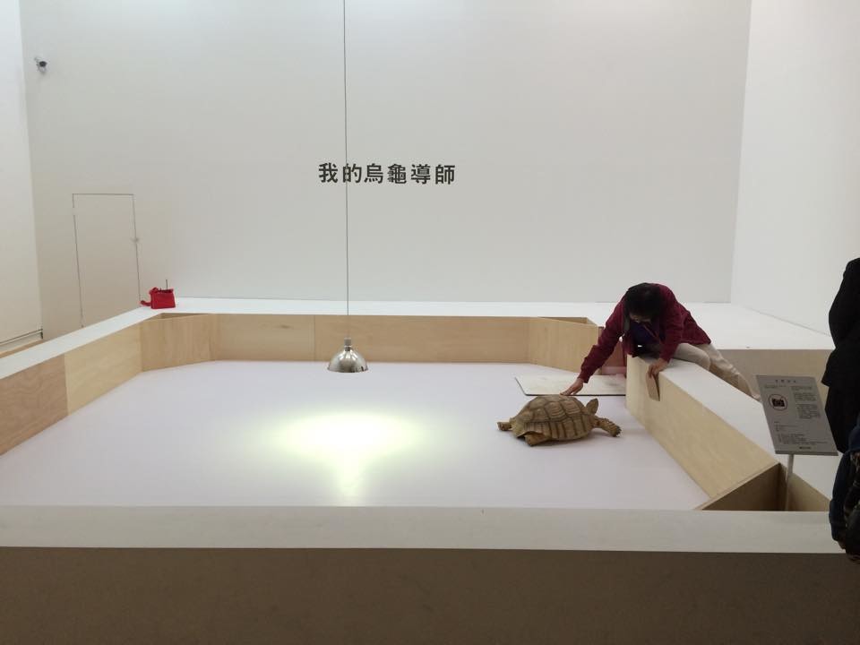 〈我的烏龜導師〉展區內環境單調，TSPCA曾建議北美館使用象龜模型來代替活體象龜，遭到館方拒絕。　/匿名提供