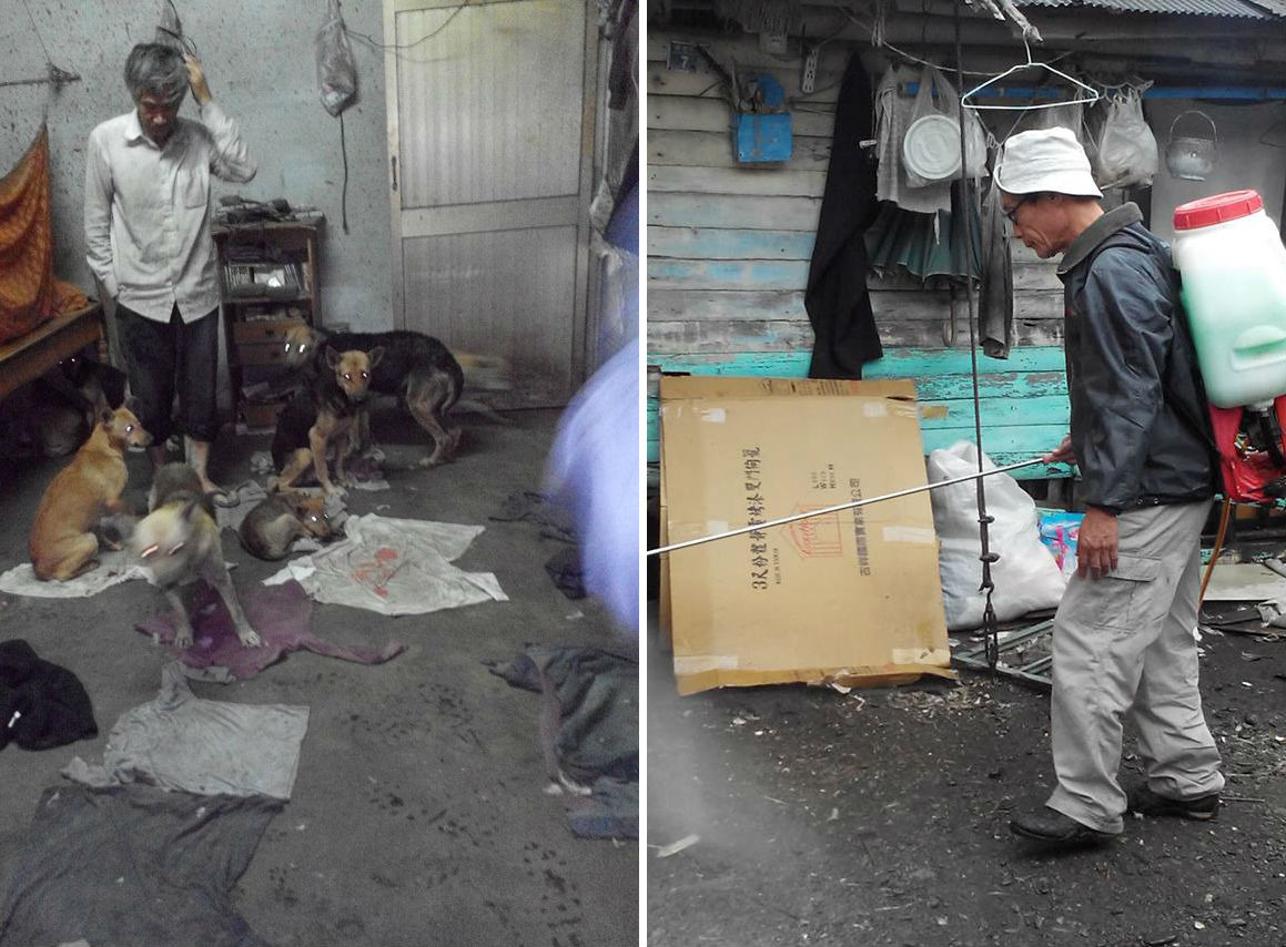 為老先生做完狗兒的絕育後,狗爸也協助老先生做環境的改善、建立正確的飼養觀念。 吳麻吉/提供