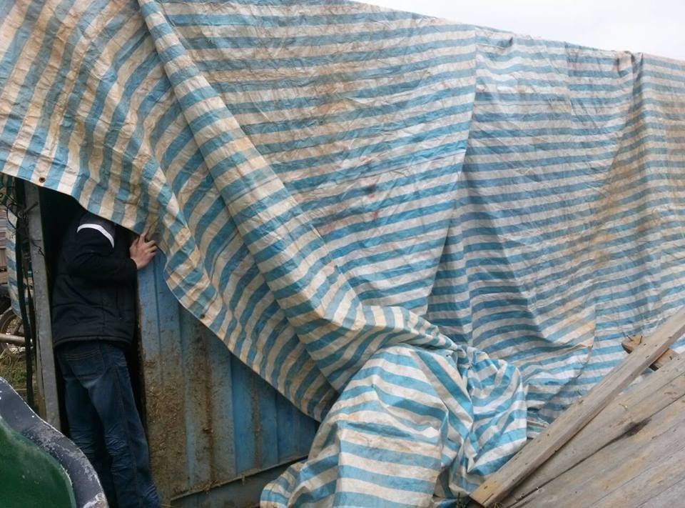 台灣動物社會研究會執行長朱增宏表示,阿河從昨晚被送回天馬牧場後就放置在破爛貨櫃中,沒有做任何醫療處理,直到今早才有獸醫師趕到。 取自台灣動物社會研究會臉書