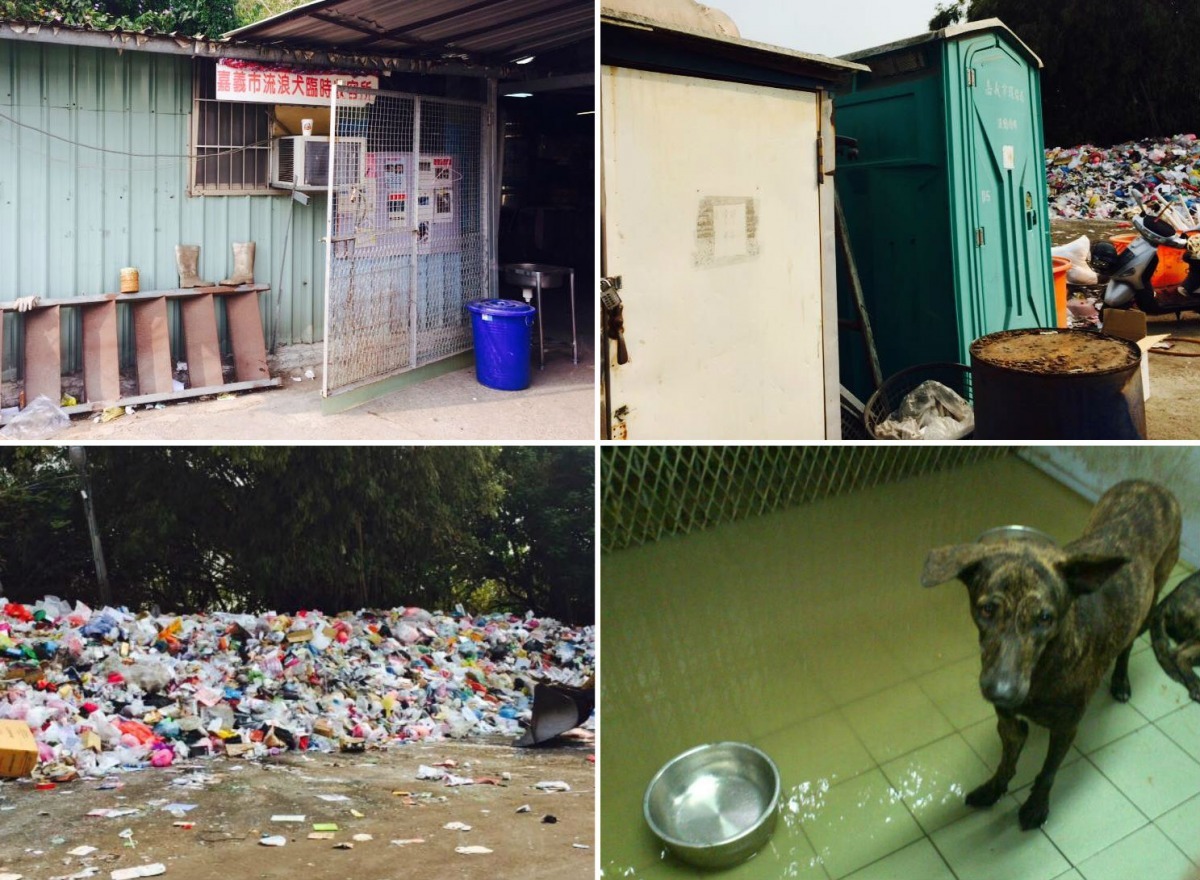 嘉義市動物收容所環境惡劣,加上地勢低窪,每下大雨所內就會淹水。 民眾提供、(右下)取自嘉義市動物守護協會臉書