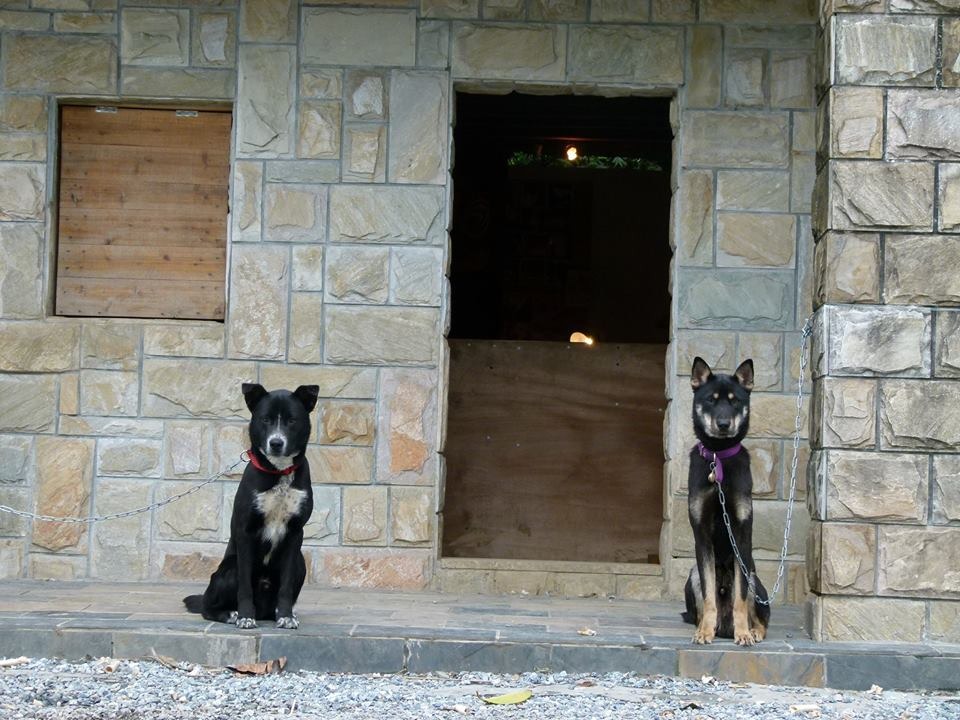 受訓期間的小黑(右),坐姿挺拔。 取自「我叫小黑現在很好」專頁