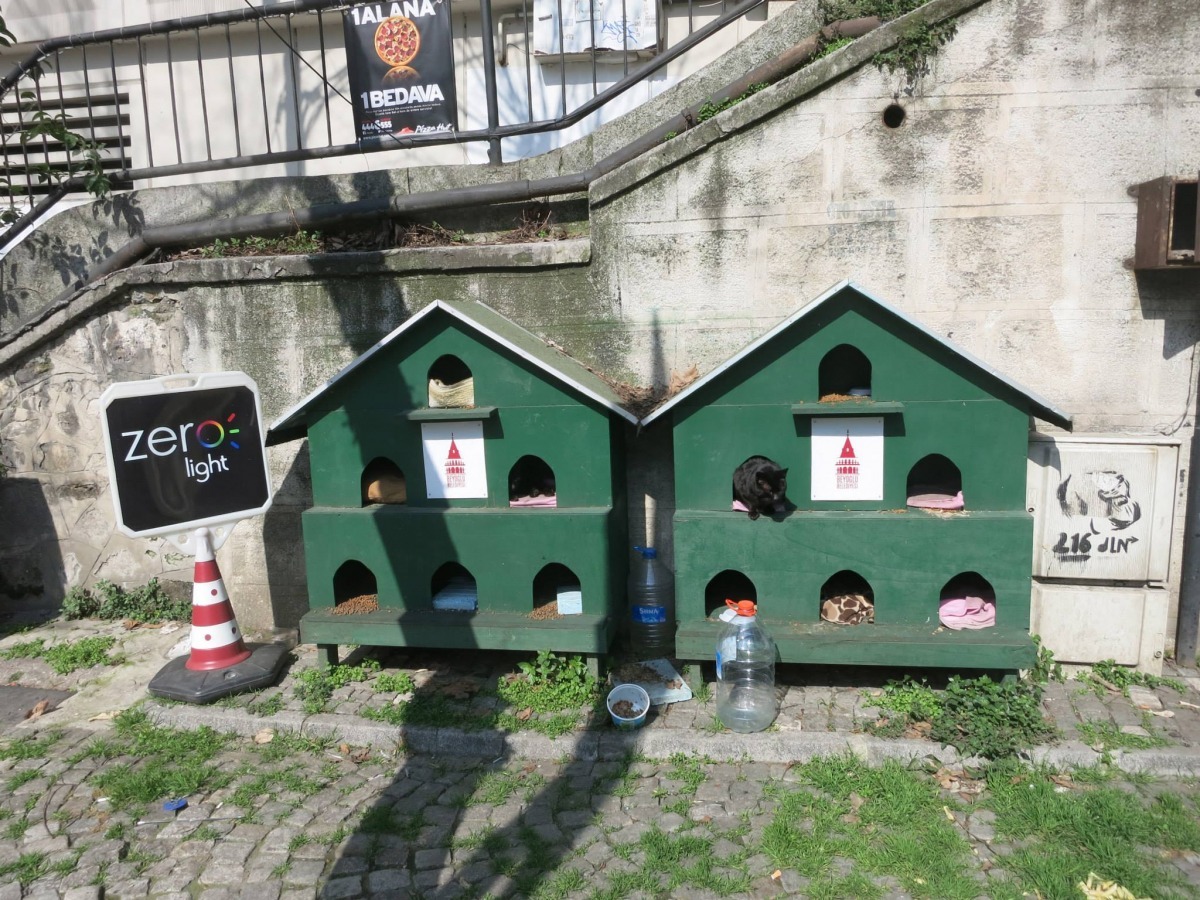 土耳其政府管理的3層樓浪貓旅館，中央白底紅圖案為伊斯坦堡官方LOGO。　取自流浪者的流浪狗之歌專頁