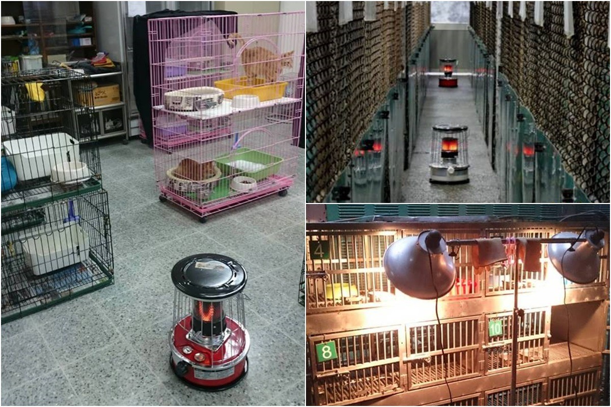 寵物銀行從去年冬天開始使用煤油暖爐,除了煤油暖爐外,部分區域會另拉線配制保溫燈。 謝銘峰/提供