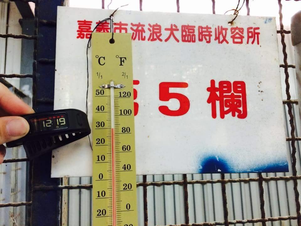 這個月初收容所內測得的溫度已高達30度。 取自嘉義市動物守護協會臉書