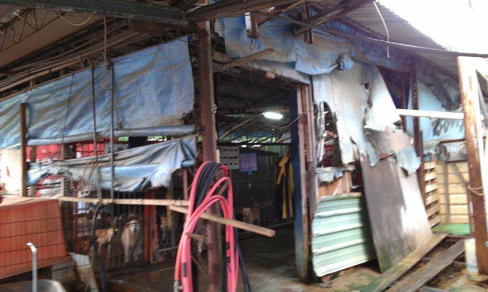 志工控訴犬舍老舊不堪，台中世聯會卻不花錢整修而是蓋辦公室。　連署網頁資訊