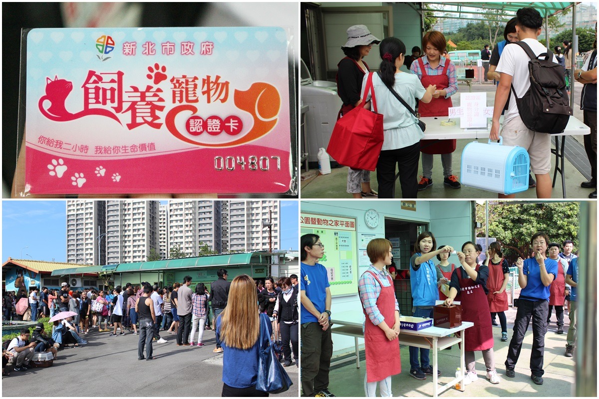 板橋動物之家今日舉辦送養會，需先出示飼養寵物認證卡才能取得抽籤資格，仍吸引100多位完成課程的民眾前來認養。　李娉婷/攝