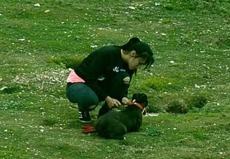 英國警方在受理案件後也公布黑狗飼主照片。 取自Zoe Stanisstreet臉書