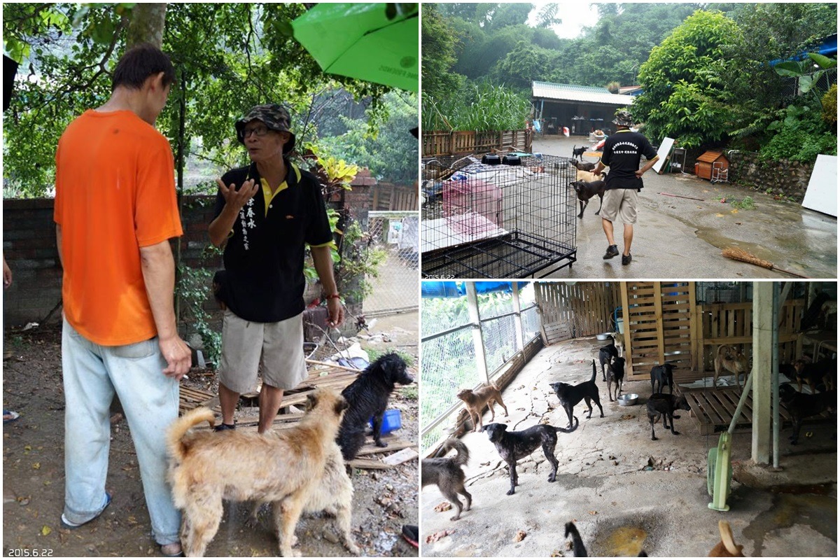 狗爸徐春水6月時曾前往蘇進財狗園，協助改善設施並給予犬隻照顧建議。　　取自「動保志工 活動紀錄」臉書
