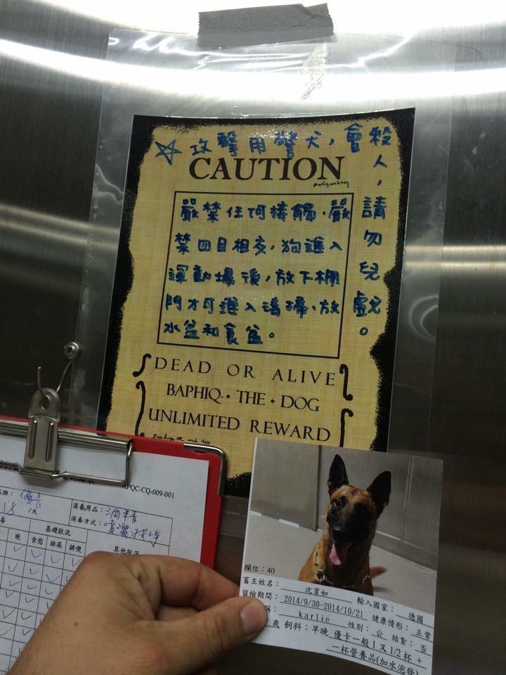 每年出國比賽的出入境檢疫，法拉利的籠舍外都會有相當嚇人的警語，5年來讓防檢局人員對牠印象深刻。　沈育如/提供