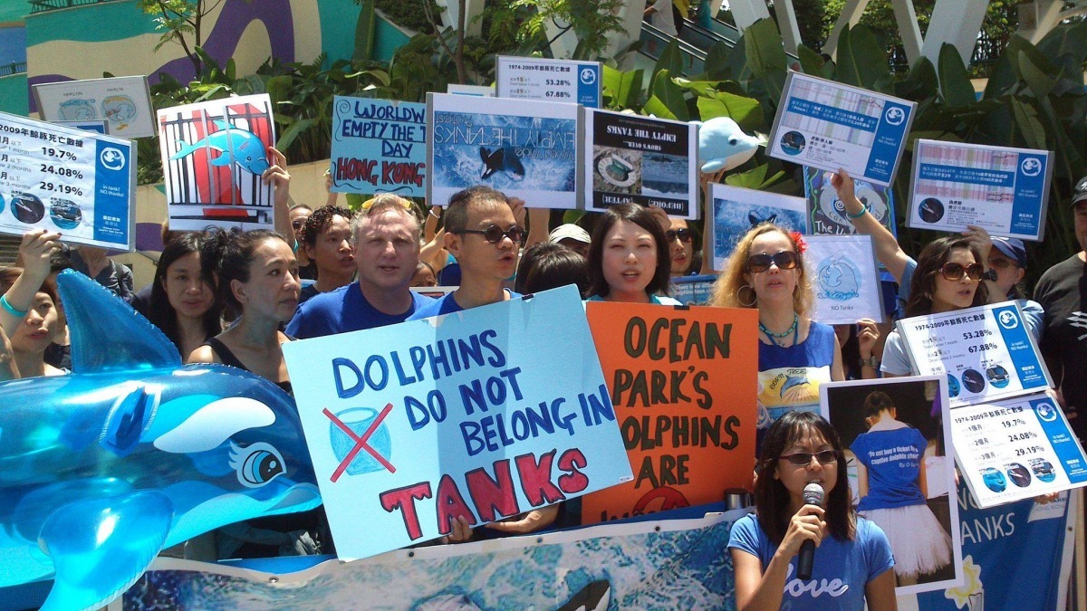 Empty the Tanks每年會在世界各地聚集向水族館業者抗議。　　取自香港動物報