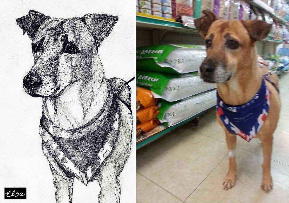 「呆呆」的故事最令游思瑩難忘，她希望能有更多狗狗像呆呆一樣，從「眾人習以為常的流浪狗」成為有家的狗狗。　游思瑩/提供