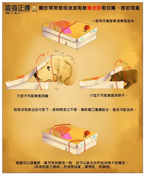 流浪狗容易因為便當剩菜而被橡皮筋纏身，換個綁法綁便當盒，避免不小心危害動物生命。 台灣動物新聞網資料圖（麥麥講/提供）