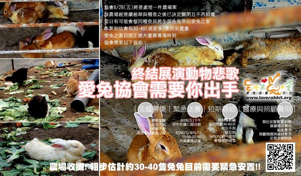台北市愛兔協會將緊急收容30多隻兔子，需要人力與物資協助。　取自愛兔協會粉絲頁