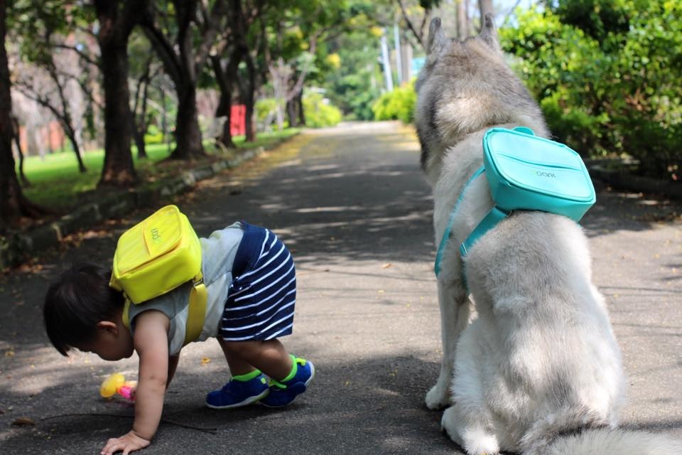 Hero老了，Hero小硯媽媽希望小硯將來能夠知道，曾有一個哥哥陪伴他走過人生道路。　　取自我們是家人專頁