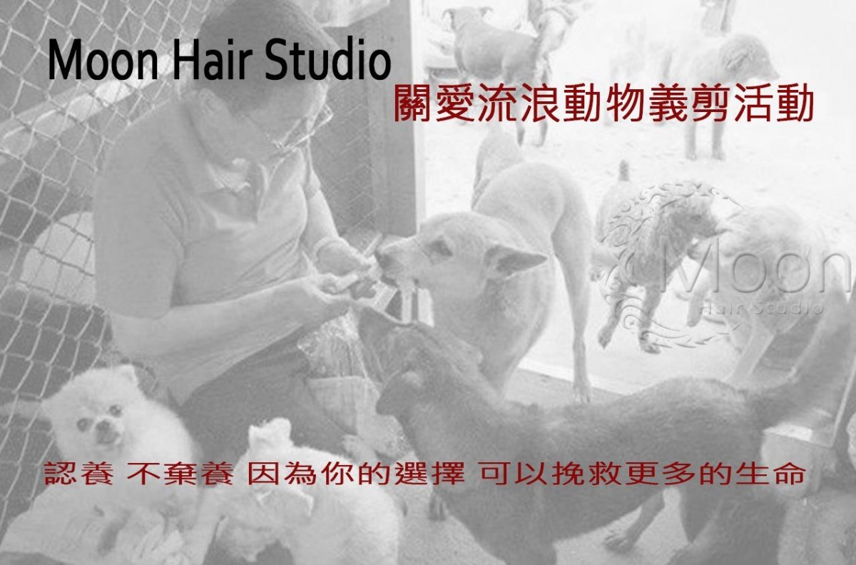 台北市大安區的Moon Hair Studio本週日舉辦義剪活動，所得將全數捐給新北市平溪區的張媽媽流浪動物之家。　取自Moon Hair Studio專頁